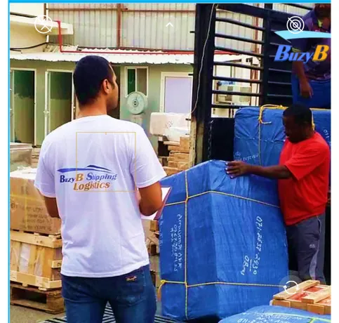 By Air Freight to Pakistan